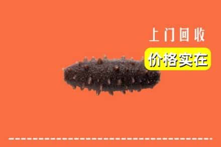 绥中县回收海参