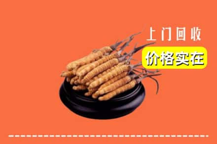 诚信求购:绥中县高价回收冬虫夏草