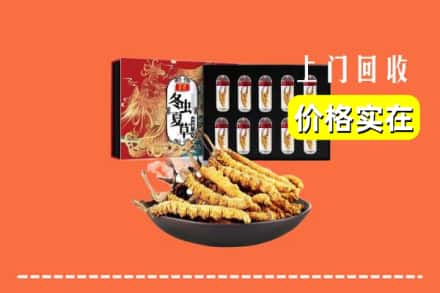 绥中县回收虫草